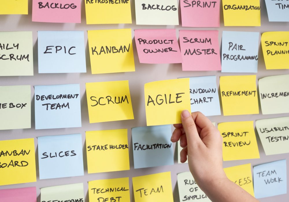 Manager programme agile